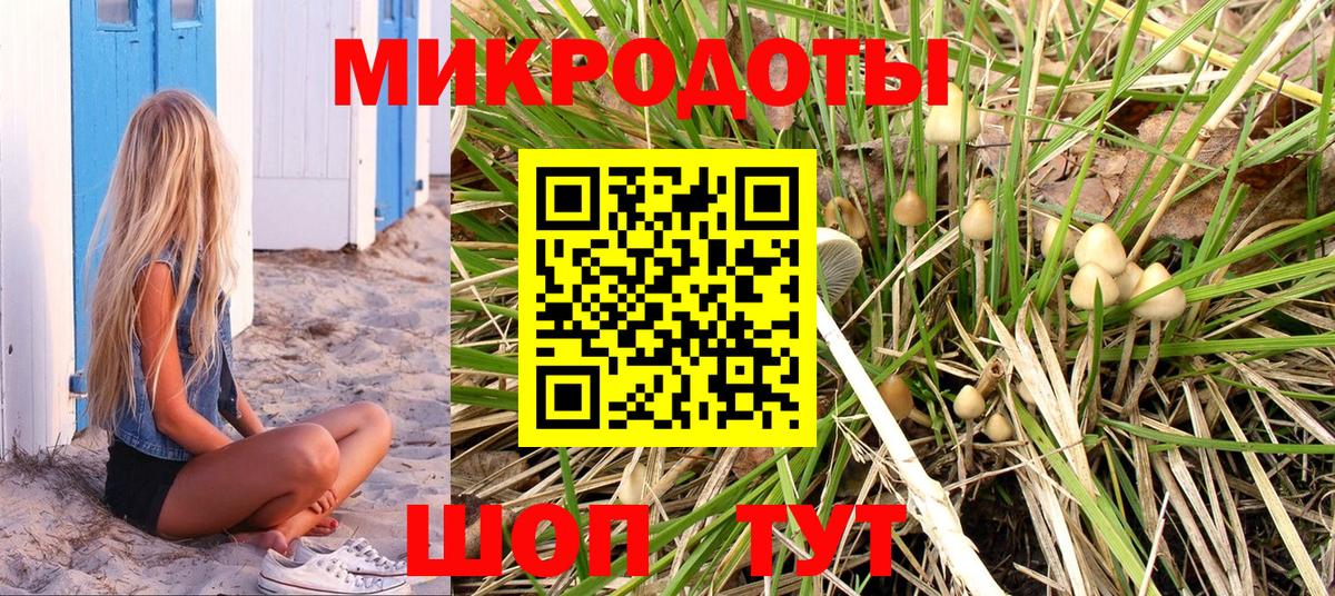 Галлюциногенные грибы мухоморы  Вход с VPN  Похвистнево  Псилоцибиновые грибы Psilocybe 
