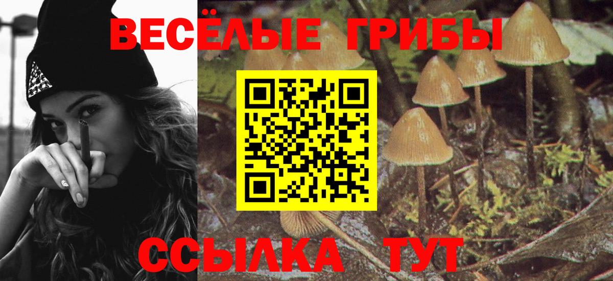 Галлюциногенные грибы мицелий Похвистнево